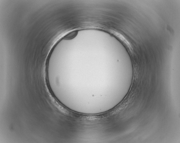 X0000115831431200912041638