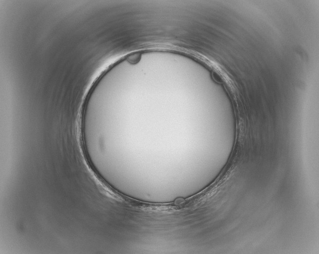 X0000115831432200912041638