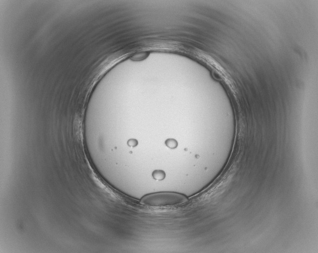 X0000115831433200912041638