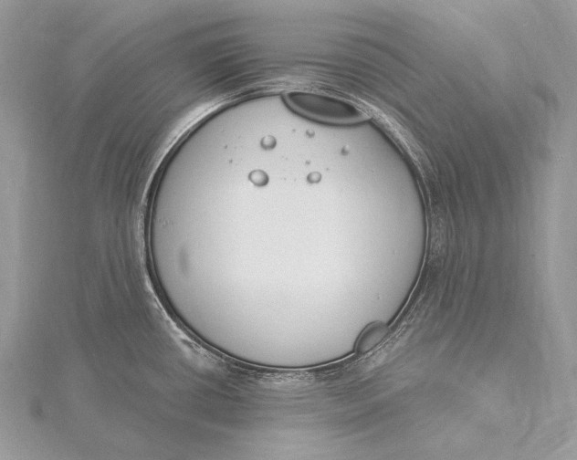 X0000115831434200912041638