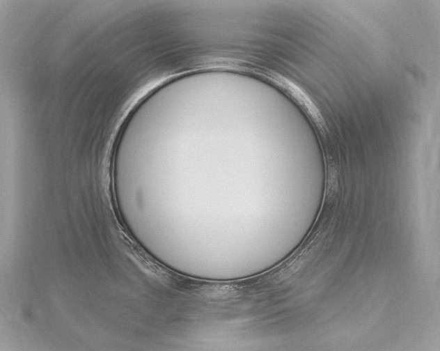 X0000115831435200912041638