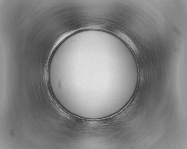 X0000115831436200912041638