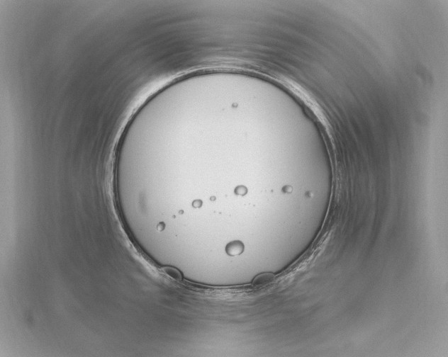 X0000115831437200912041638