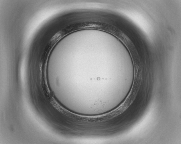 X0000115831439200912041638