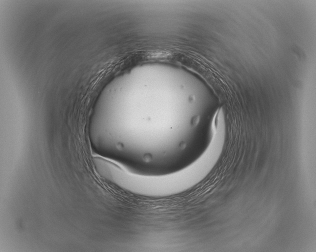 X0000115831441200912041638