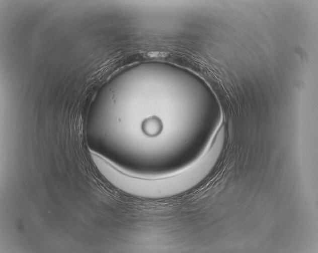 X0000115831443200912041638