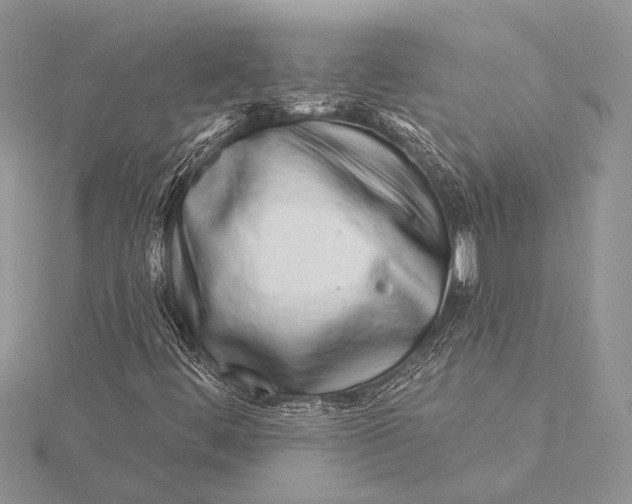 X0000115831444200912041638