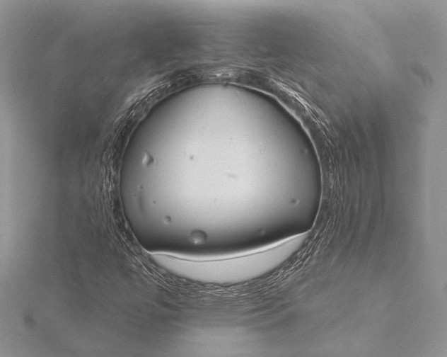 X0000115831447200912041638