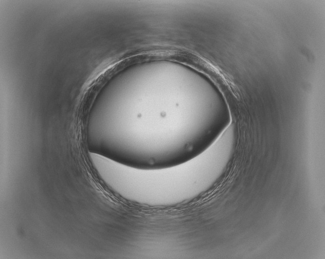 X0000115831448200912041638