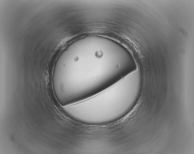 X0000115831449200912041638