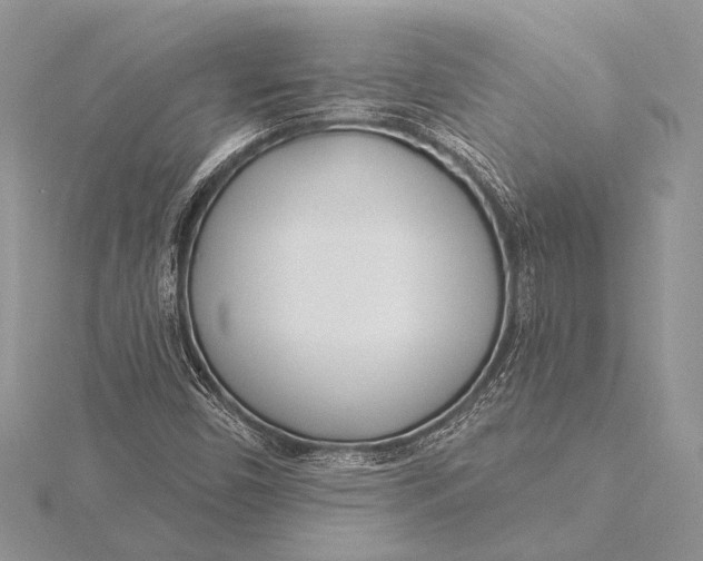 X0000115831450200912041638