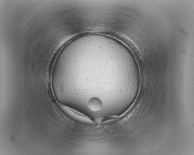 X0000115831457200912041638