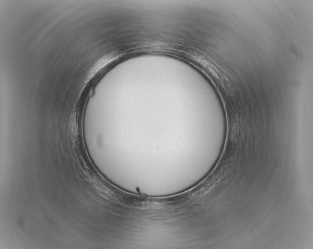 X0000115831458200912041638