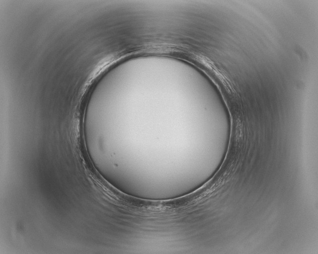 X0000115831459200912041638