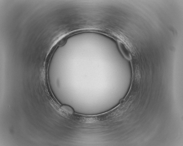 X0000115831460200912041637