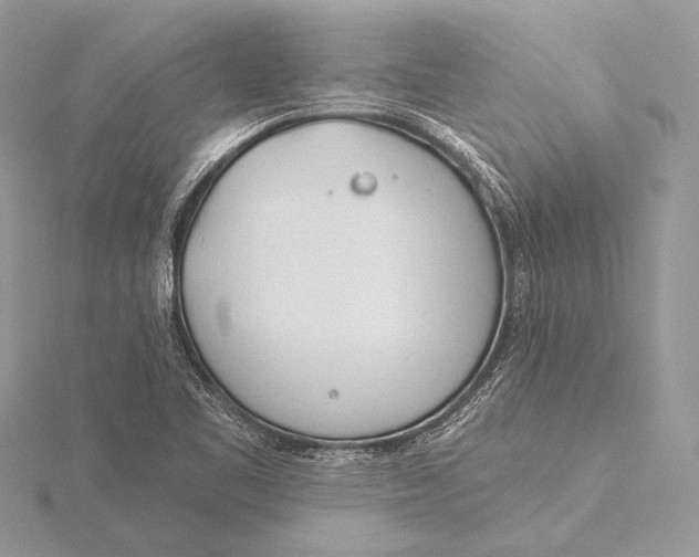 X0000115831461200912041637