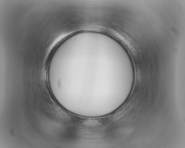 X0000115831462200912041637