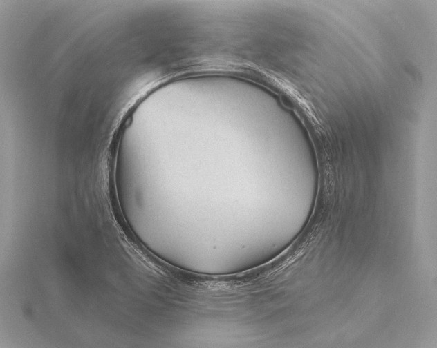 X0000115831463200912041637