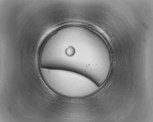 X0000115831464200912041637