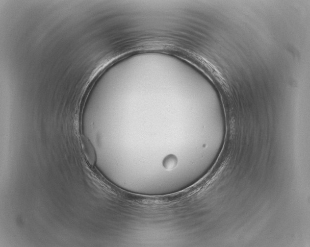 X0000115831465200912041637