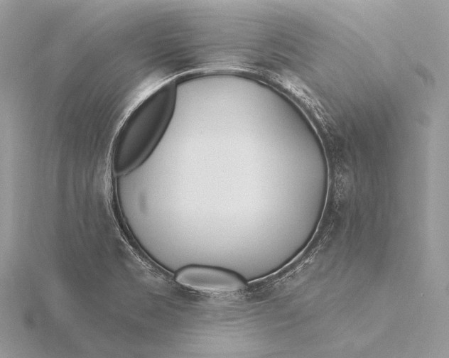 X0000115831469200912041637