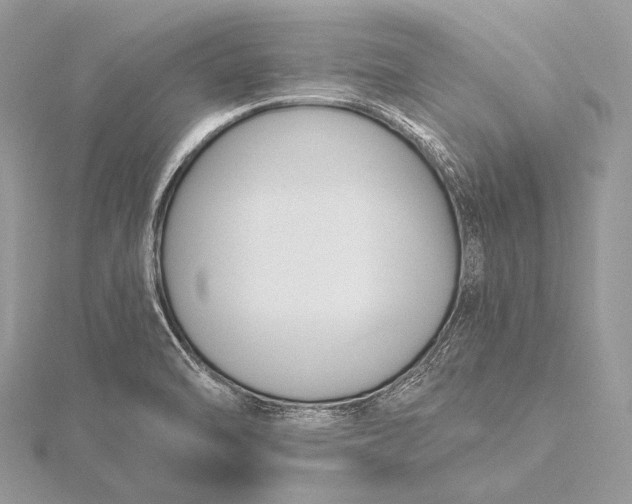 X0000115831470200912041637