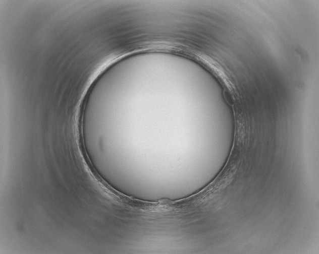 X0000115831475200912041637