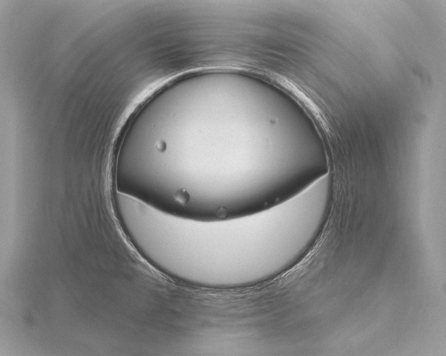 X0000115831477200912041637