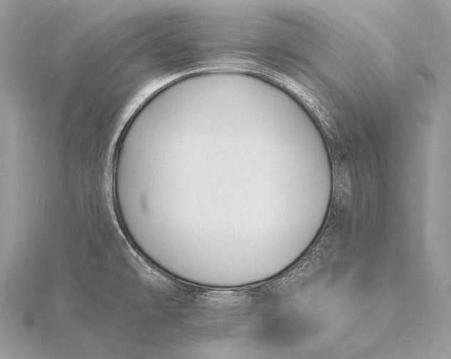 X0000115831478200912041637