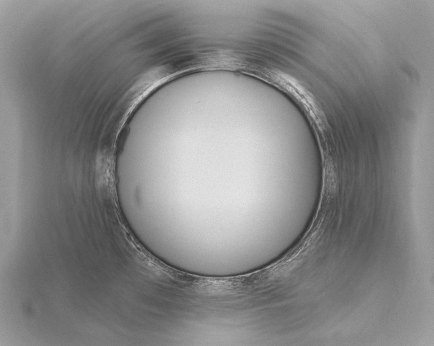 X0000115831481200912041637