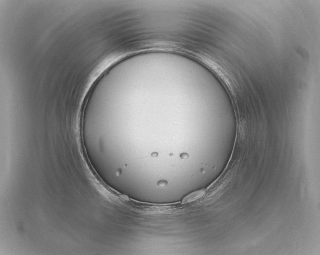 X0000115831482200912041637