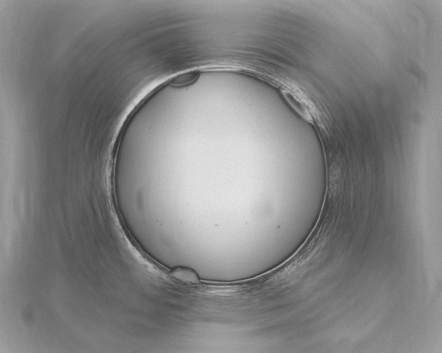 X0000115831484200912041637