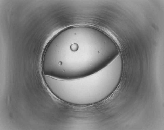 X0000115831485200912041637