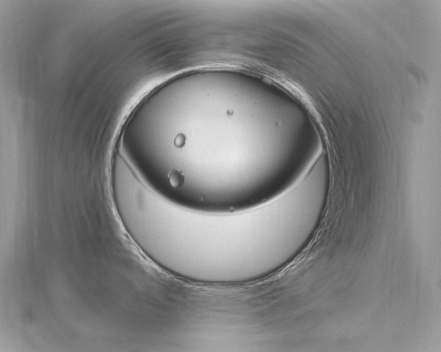 X0000115831488200912041637