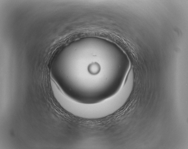 X0000115831493200912041637