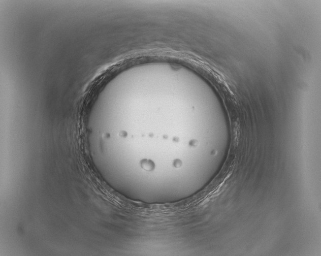 X0000115831494200912041637