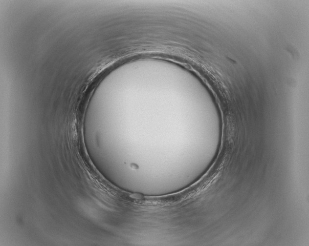 X0000115831497200912041637