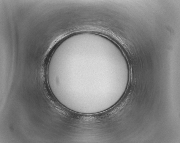 X0000115831501200912041637