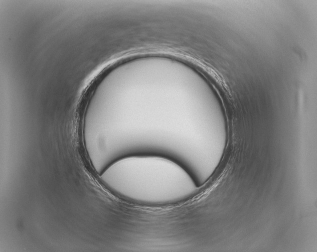 X0000115831502200912041637