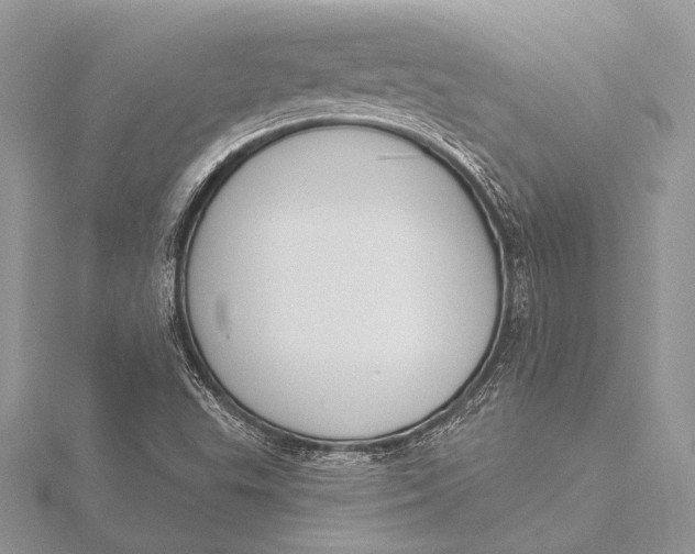 X0000115831503200912041637