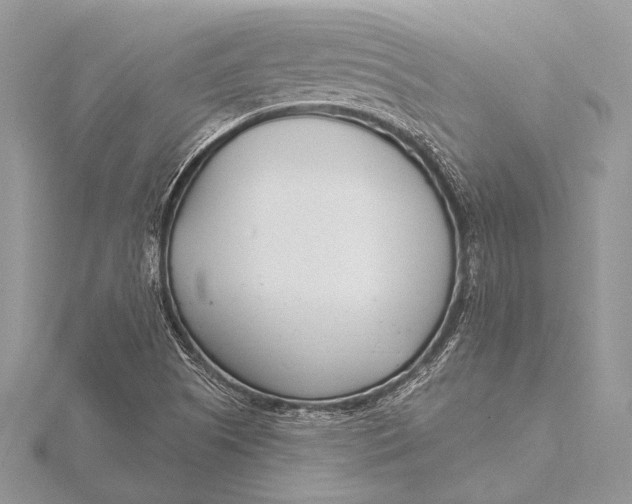 X0000115831505200912041637