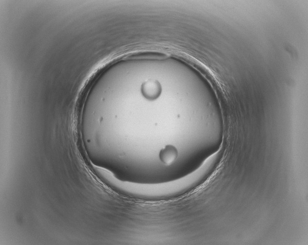 X0000115831506200912041637