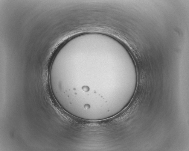 X0000115831507200912041637