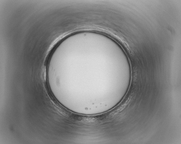 X0000115831509200912041637