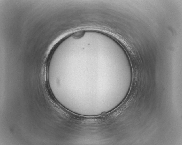 X0000115831510200912041637