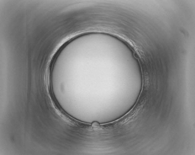 X0000115831515200912041637