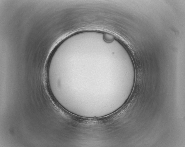 X0000115831517200912041637