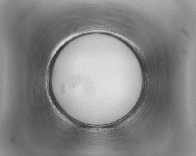 X0000115831518200912041637