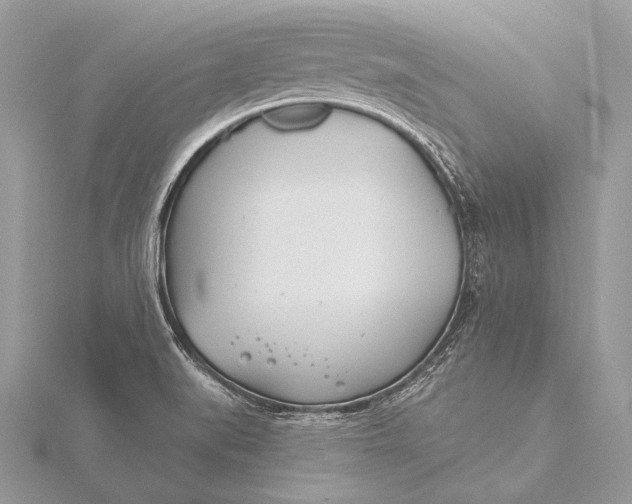 X0000115831519200912041637