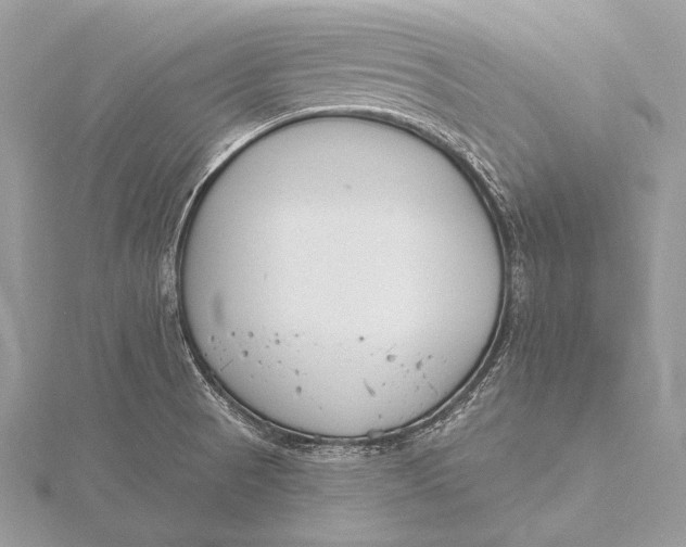 X0000115831521200912041637